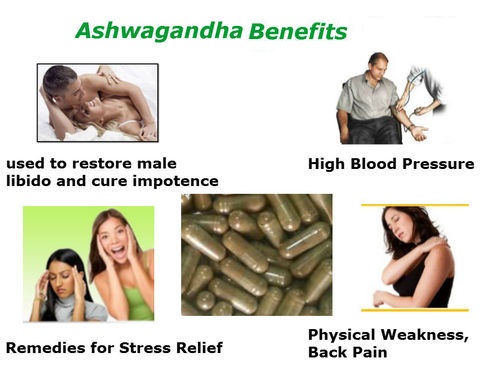 ashwagandha root powder benefits for female
