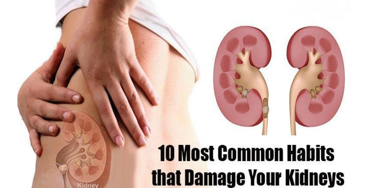 Top 10 Common Habits that Damage Your Kidneys ArticleCube