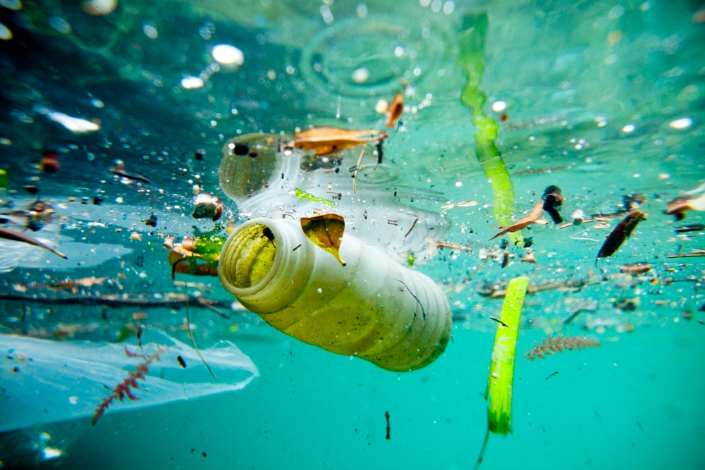 Are There Pollutants In Water Bottles 101