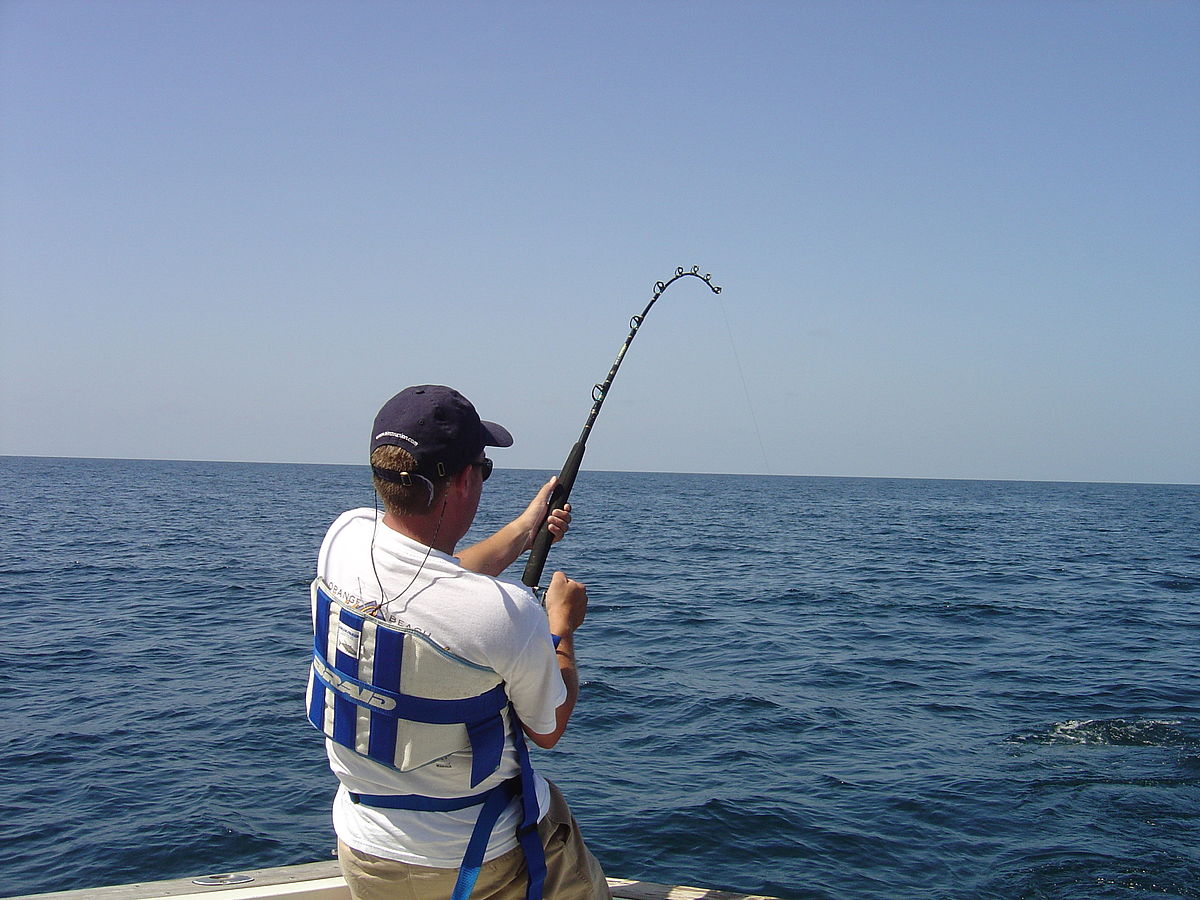 What Factors Should Be In Mind Regarding Fishing Rods