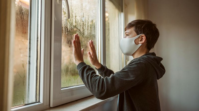 How Dust, Pollen, and Air Pollution Build Up on Your Windows Over Time ...