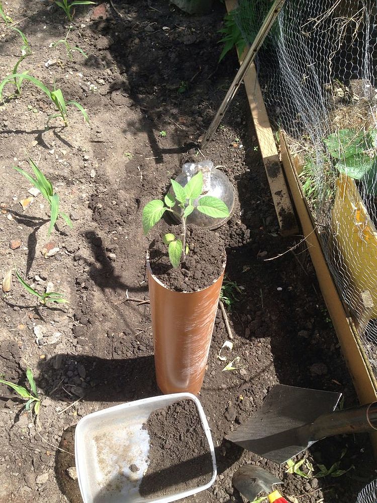An excellent alternative to growing plants! pipes in the garden