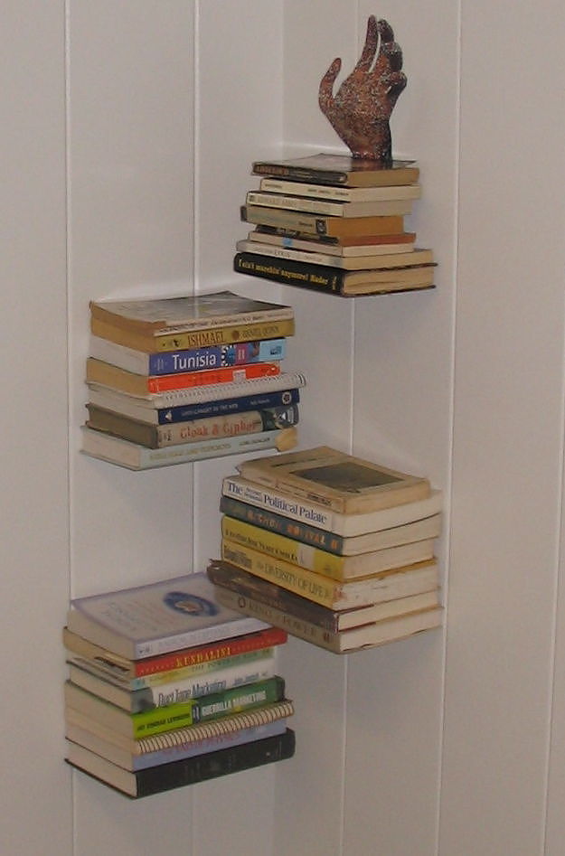 invisible bookshelf 2