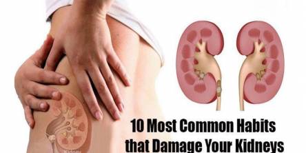 Top 10 Habits that Damage Your Kidneys