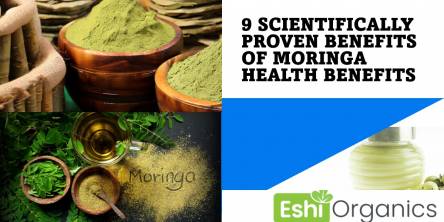 9 Scientifically Proven Benefits of Moringa Products in Health