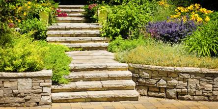 Professional Landscaping