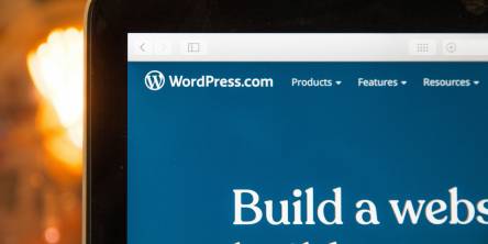 A Guide to Optimizing WordPress Performance and Speed.