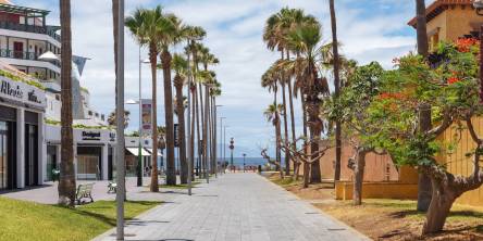Why British Tourists Keep Coming Back to the Canary Islands