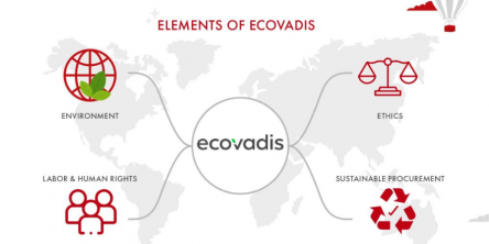 EcoVadis Rating Criteria