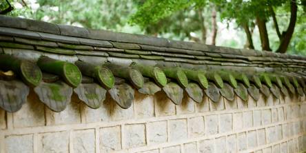 Retaining Walls: Where Engineering Meets Everyday Living