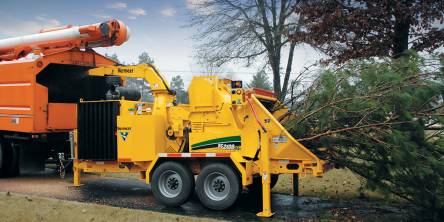 Professional Guide to Building Raised Garden Beds | ArticleCube