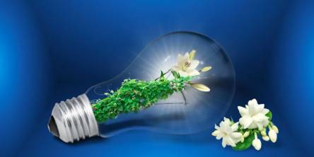 Eco-Friendly Events