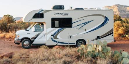 RV Dogs