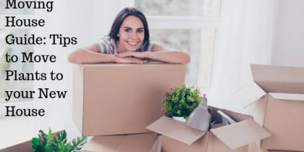 Moving House Guide: Tips to  Move Plants to your new house
