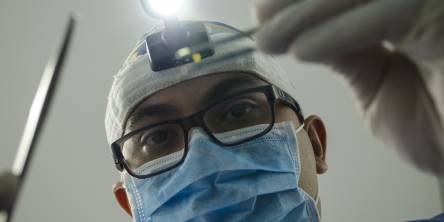 dentist dentist