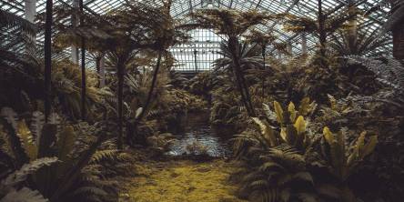 greenhouse