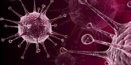 Mysterious Existence Of Viruses