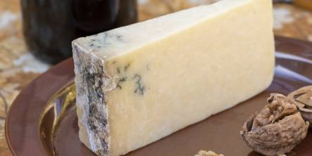 Moldy Cheese: 7 Benefits of Gourmet Product