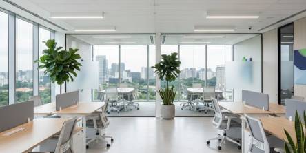 new office renovation