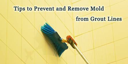 Best Tips To Prevent Mould Growth On Your Tiles