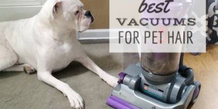 best vacuums for dog hair