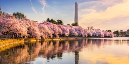 Free Things To Do In Washington DC