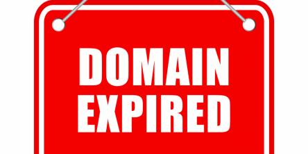 Why Should You Avoid Letting Your Domain Name Expire?