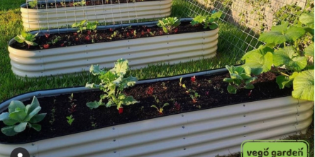 large raised garden beds