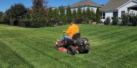 Electric Lawn Mowe
