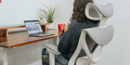 Ergonomic Office Chair