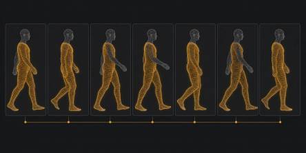 Swap taxonomy