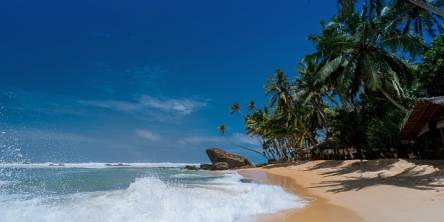 beach