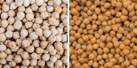 Garbanzo Beans vs. Chickpeas
