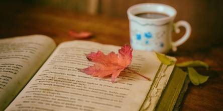 Leaves, Coffee cup, Coffee image.