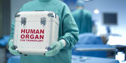 organ transplantation in kerala,liver transplant in kerala