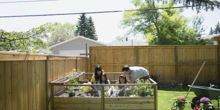 Professional Guide to Building Raised Garden Beds