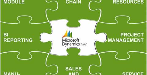 microsoft-dynamics-partner