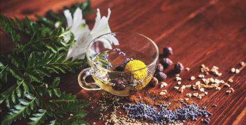Best Herbal Teas To Serve Health With Taste