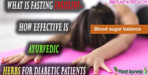 What is Fasting Insulin?-How Effective is Ayurvedic Herbs for Diabetic Patients