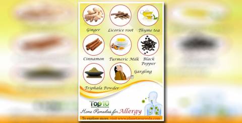 Best 10 Home Remedies for Seasonal Allergies