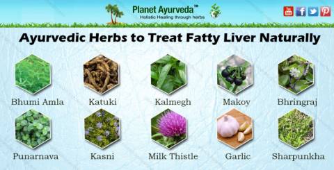 herbs for fatty acid