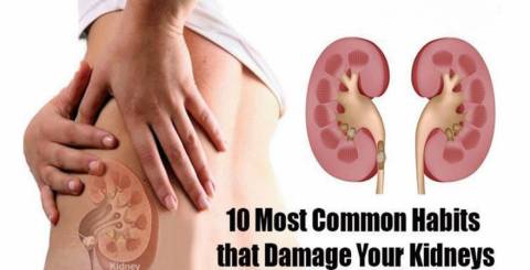 Top 10 Habits that Damage Your Kidneys