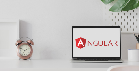 Top 5 Reasons to Choose AngularJS Web Development Top 5 Reasons to Choose AngularJS Web Development