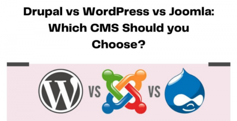 Drupal vs WordPress vs Joomla: Which CMS Should you Choose?