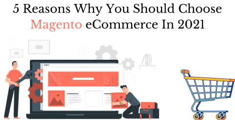 5 Reasons Why You Should Choose Magento for eCommerce website 5 Reasons Why You Should Choose Magento for eCommerce website