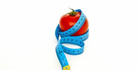 Diet Guide Diet Guide