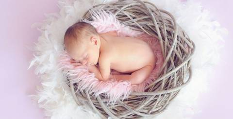newborn photography newborn photography