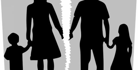 Joint Custody Joint Custody
