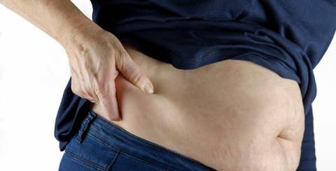 Fat Deposit Fat Deposit