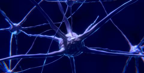 Best tips to design a lucrative medical website 12 Tips To Help You Build A Neurology Website